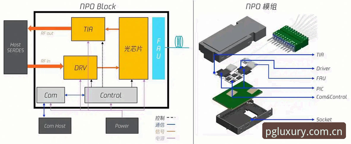 5个关键维度解析PG电子登录体验：从8H2K平台看游戏平台发展新趋势